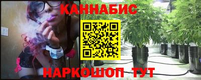 мет Новозыбков