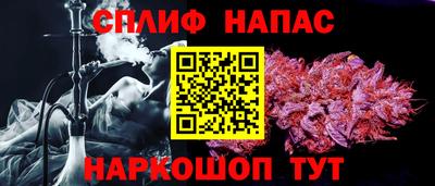 шишки Новодвинск