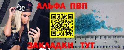 шишки Новодвинск