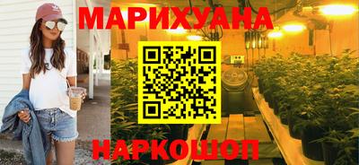 шишки Новодвинск