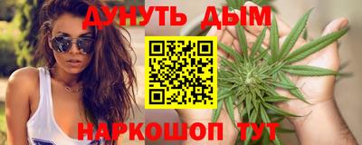 шишки Новодвинск