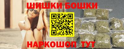 шишки Новодвинск
