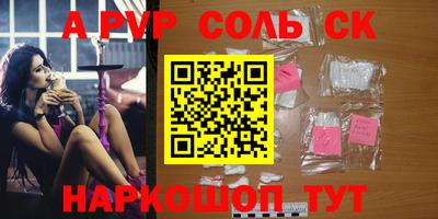 шишки Новодвинск
