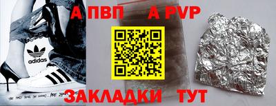 шишки Новодвинск